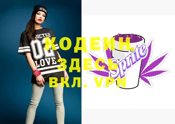 индика Дмитровск