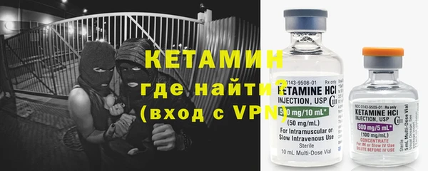 индика Дмитровск