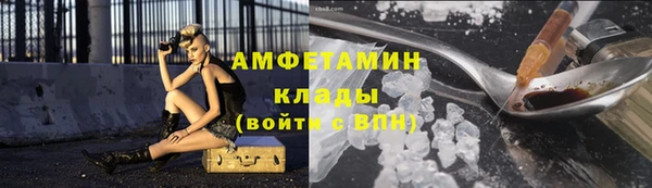 шишки Дмитров