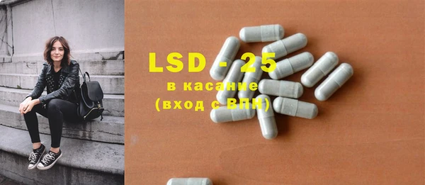 индика Дмитровск