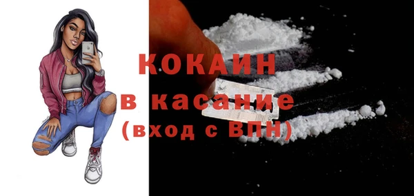 индика Дмитровск