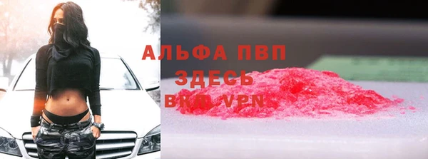 индика Дмитровск