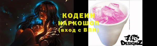 индика Дмитровск