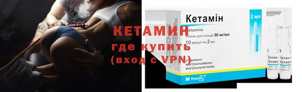 индика Дмитровск