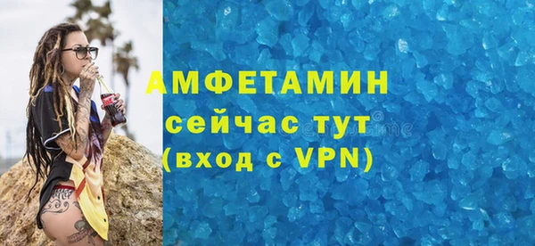 индика Дмитровск