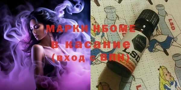шишки Дмитров