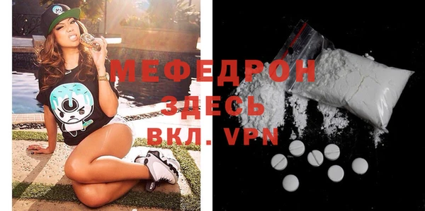 индика Дмитровск