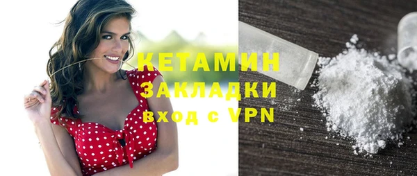 шишки Дмитров