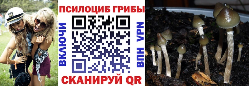 Псилоцибиновые грибы Cubensis  Батайск 